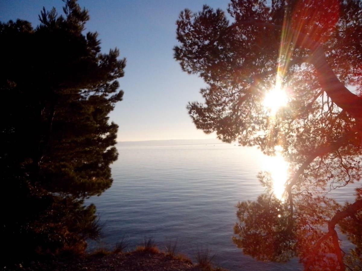 Apartman Robertino 1966 Makarska Luaran gambar